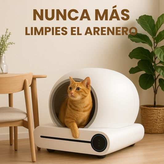 Leruma – Arenero inteligente automatico